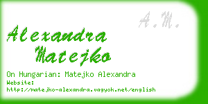 alexandra matejko business card